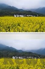 91大神 麻豆-麻豆世界中的91大神，一个现象及其背后的故事