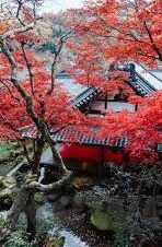 av日韩入口-探索日韩文化与AV产业的独特视角，艺术与娱乐的交融