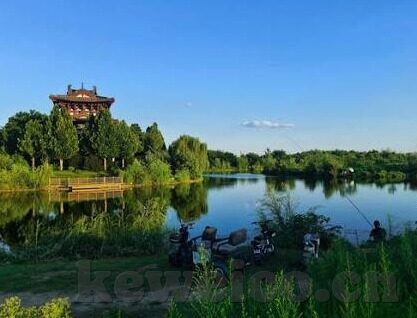 麻豆-传媒App-麻豆-传媒App，数字时代的审美与文化表达
