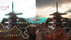 糖心app会员是真的吗-探秘网络真相，糖心APP会员服务真相披露