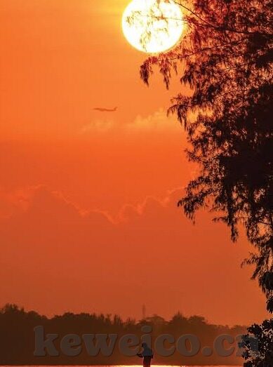 糖心vlog兑换码未使用-抓住时光的甜蜜，揭秘糖心vlog兑换码的未使用之谜